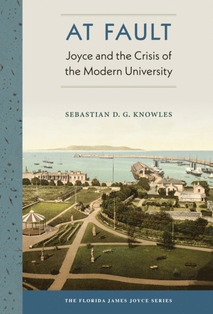 Sebastian D.G. Knowles - At Fault, E-bok