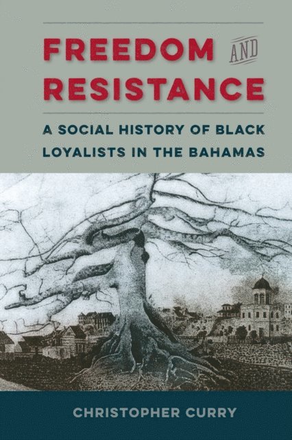 Christopher Curry - Freedom and Resistance, E-bok