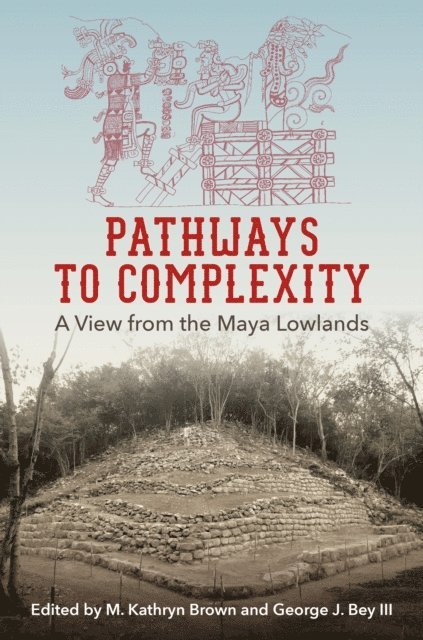 George J. Bey III, M. Kathryn Brown - Pathways to Complexity, E-bok