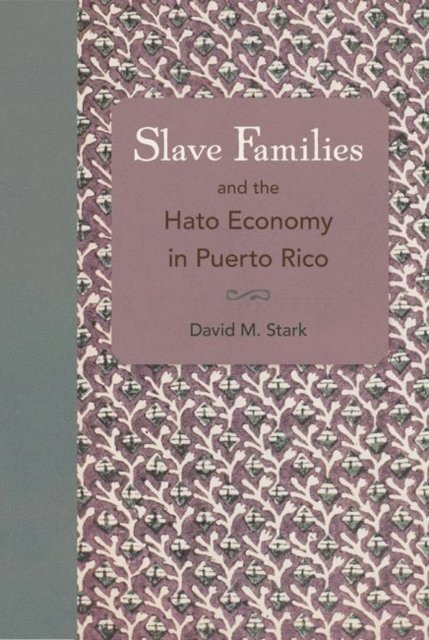 David M. Stark - Slave Families and the Hato Economy in Puerto Rico, E-bok