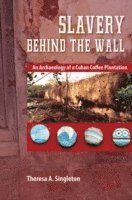 Theresa A. Singleton - Slavery behind the Wall, E-bok