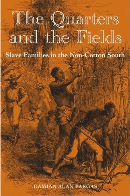 Damian Alan Pargas - Quarters and the Fields, E-bok