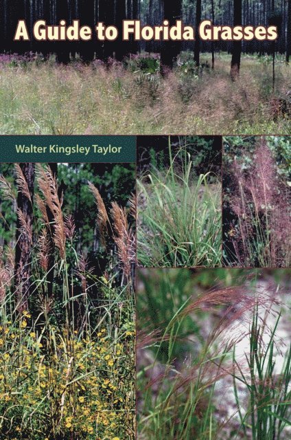 Walter Kingsley Taylor - Guide to Florida Grasses, E-bok