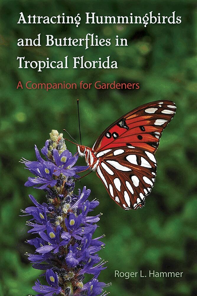 Roger L. Hammer - Attracting Hummingbirds and Butterflies in Tropical Florida, Häftad. Tillgänglighet: Tillfälligt slut