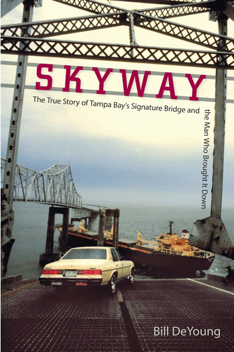 Bill Deyoung - Skyway, Häftad