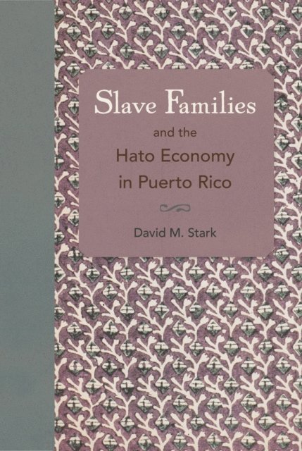 David M. Stark - Slave Families and the Hato Economy in Puerto Rico, E-bok