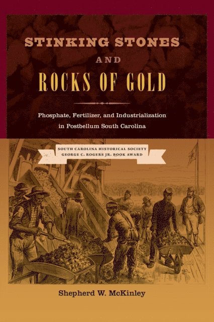 Shepherd W. McKinley - Stinking Stones and Rocks of Gold, E-bok
