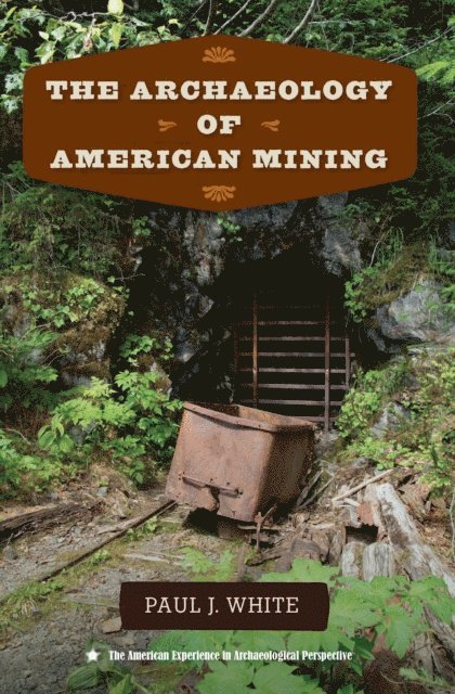 Paul J. White - Archaeology of American Mining, E-bok