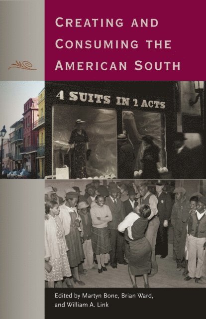 William A. Link, Brian Ward, Martyn Bone - Creating and Consuming the American South, E-bok