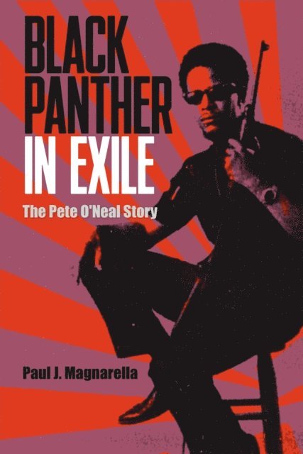 Paul J. Magnarella - Black Panther in Exile, E-bok
