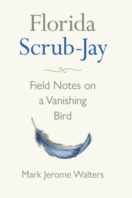 Florida Scrub Jay