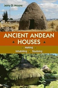 Ancient Andean Houses