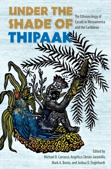 Joshua D. Englehardt, Mark A. Bonta, Angelica Cibrian-Jaramillo, Michael D. Carrasco - Under the Shade of Thipaak, E-bok