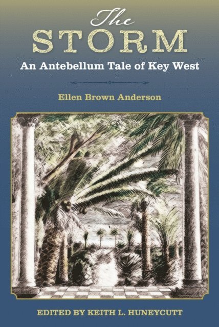 Ellen Brown Anderson, Keith L. Huneycutt - Storm, E-bok