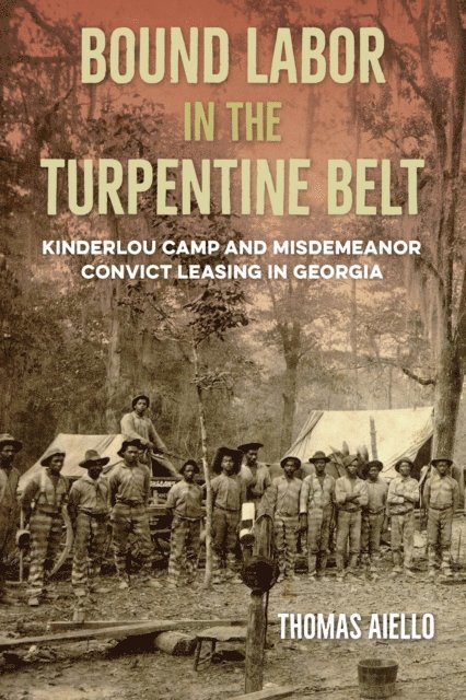 Thomas Aiello - Bound Labor in the Turpentine Belt, E-bok
