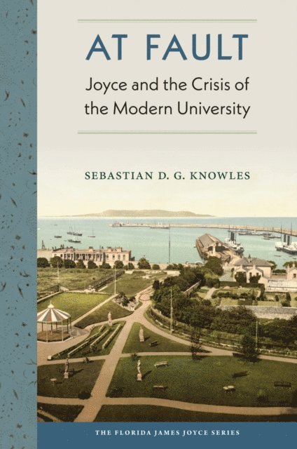 Sebastian D.G. Knowles - At Fault, E-bok