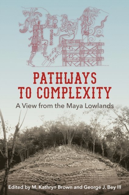George J. Bey III, M. Kathryn Brown - Pathways to Complexity, E-bok