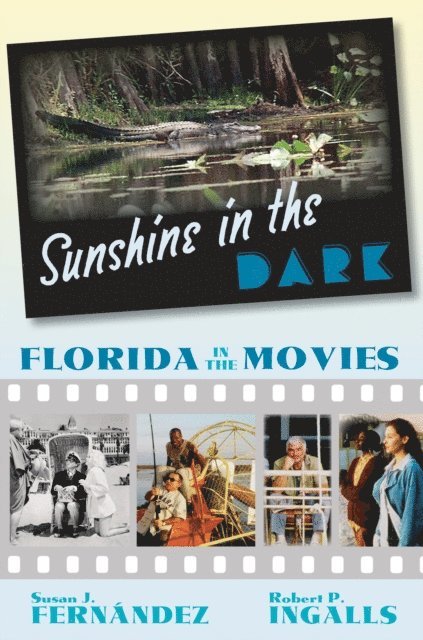 Robert P. Ingalls, Susan J. Fernandez - Sunshine in the Dark, E-bok