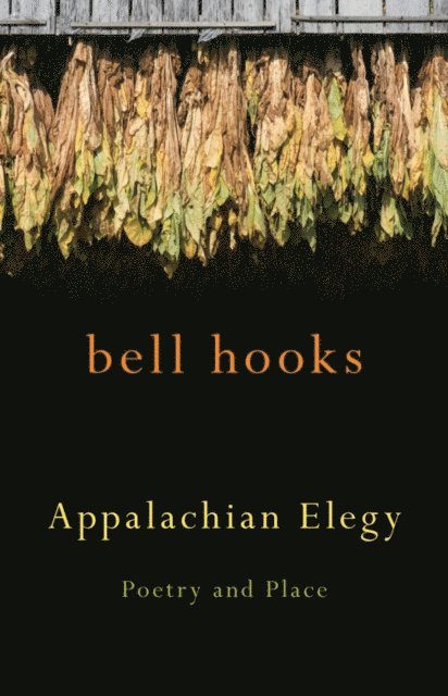 bell hooks - Appalachian Elegy, E-bok
