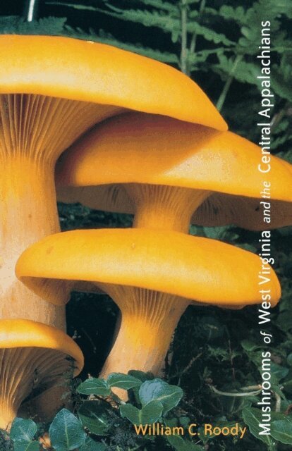 William C. Roody - Mushrooms of West Virginia and the Central Appalachians, E-bok