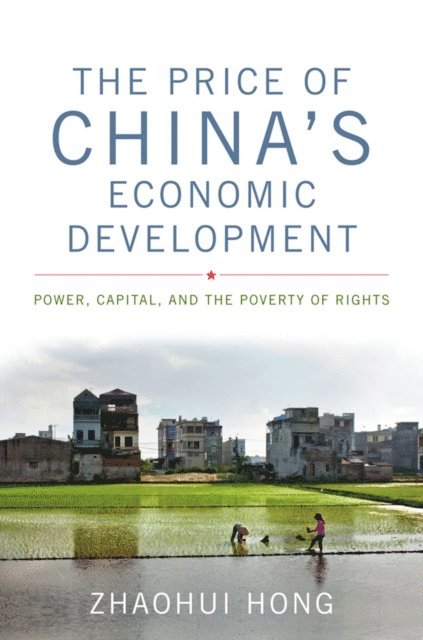 Zhaohui Hong - Price of China's Economic Development, E-bok