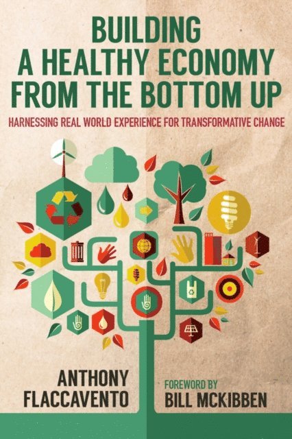 Anthony Flaccavento - Building a Healthy Economy from the Bottom Up, E-bok