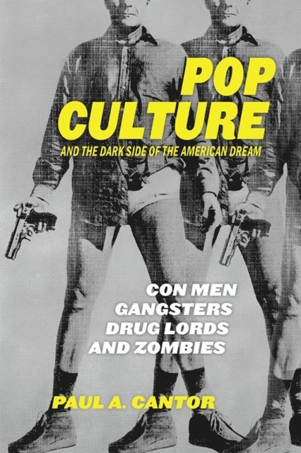Paul A. Cantor - Pop Culture and the Dark Side of the American Dream, E-bok