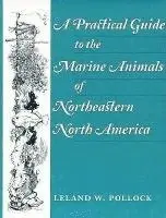 Practical Guide to the Marine Animals of Northeastern North America