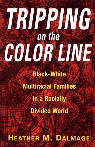 Heather M Dalmage - Tripping on the Color Line, Häftad