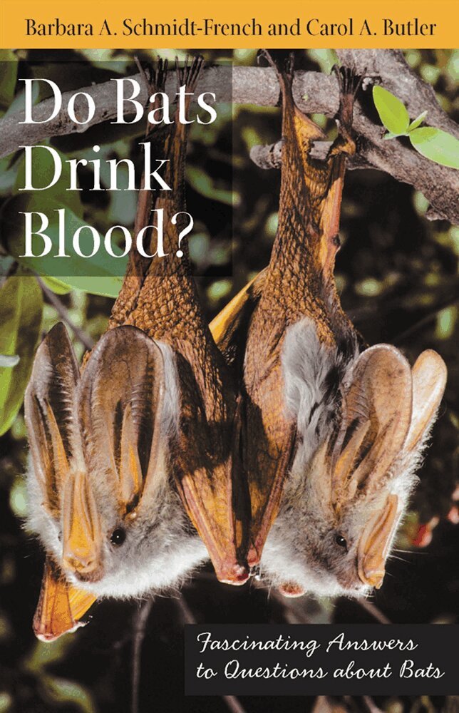Barbara A. Schmidt-French, Carol A Butler - Do Bats Drink Blood?, Häftad. Tillgänglighet: Tillfälligt slut