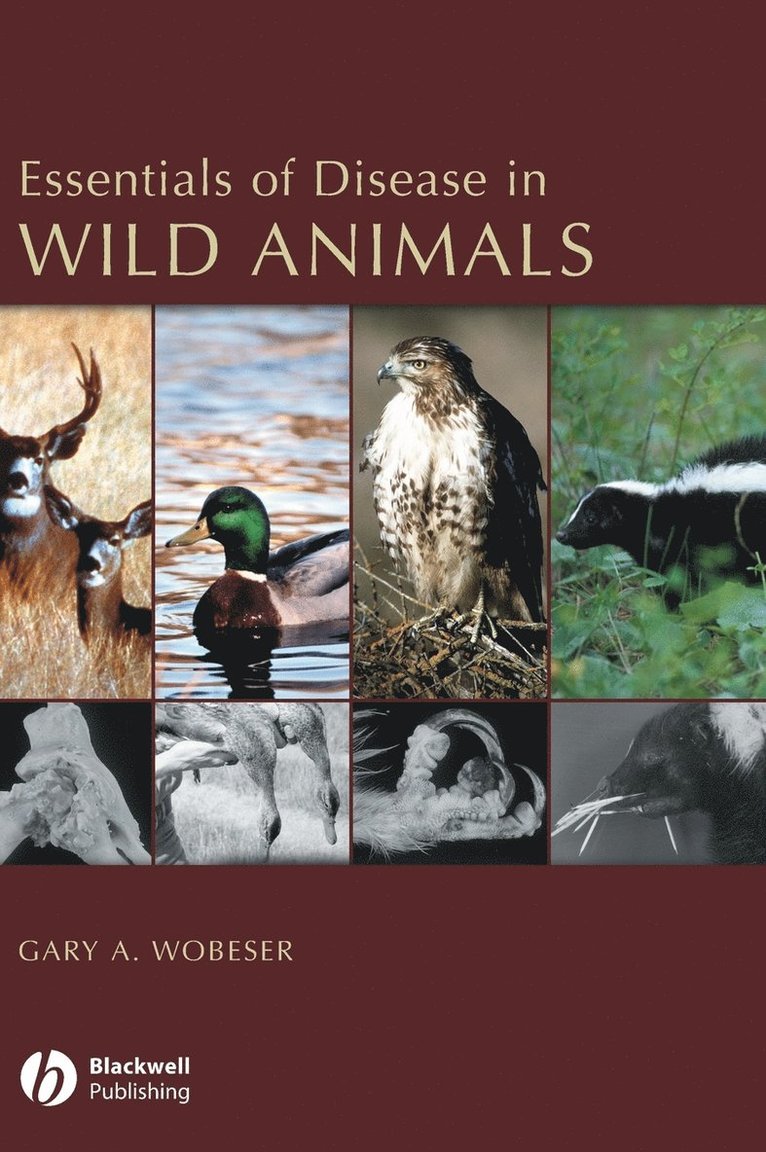 Gary A. Wobeser - Essentials of Disease in Wild Animals, Inbunden. Tillgänglighet: Lägg i varukorg