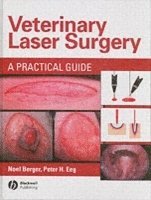 Veterinary Laser Surgery