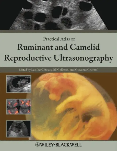 Giovanni Gnemmi, Jill Colloton, Luc DesC teaux - Practical Atlas of Ruminant and Camelid Reproductive Ultrasonography, E-bok. Tillgänglighet: Lägg i varukorg