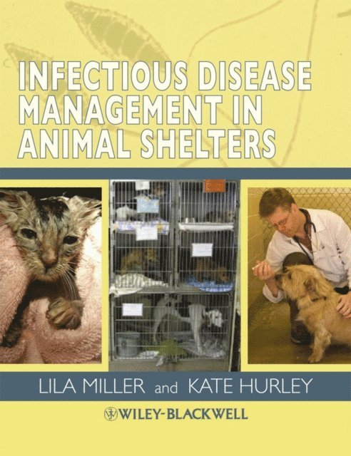 Kate F. Hurley, Lila Miller - Infectious Disease Management in Animal Shelters, E-bok