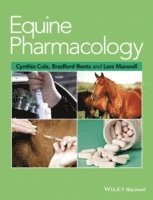 Equine Pharmacology