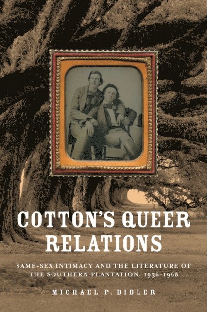 Michael P. Bibler - Cotton's Queer Relations, E-bok