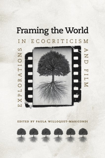 Paula Willoquet-Maricondi - Framing the World, E-bok
