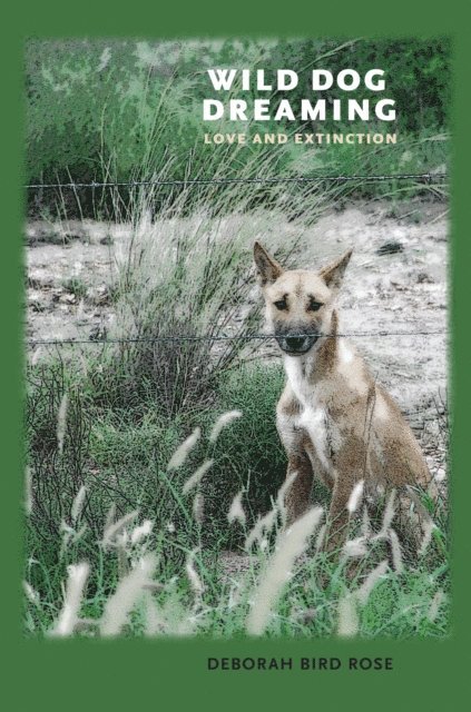 Deborah Bird Rose - Wild Dog Dreaming, E-bok
