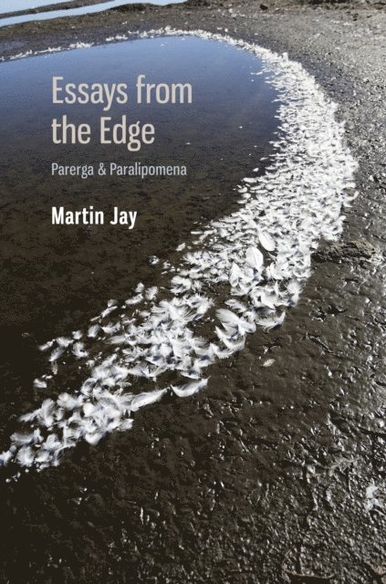 Martin Jay - Essays from the Edge, E-bok