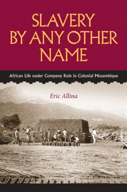 Eric Allina - Slavery by Any Other Name, E-bok