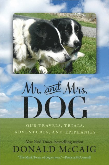 Donald McCaig - Mr. and Mrs. Dog, E-bok