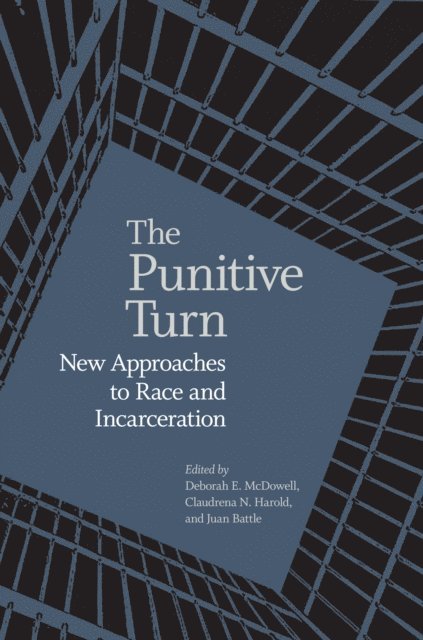 Juan Battle, Claudrena N. Harold, Deborah E. McDowell - Punitive Turn, E-bok
