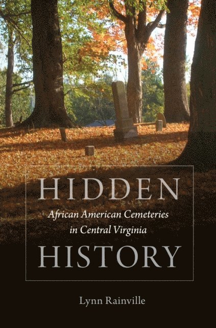 Lynn Rainville - Hidden History, E-bok