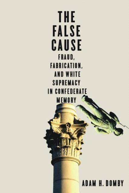 Adam H. Domby - False Cause, E-bok