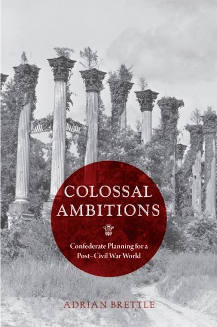 Adrian Brettle - Colossal Ambitions, E-bok