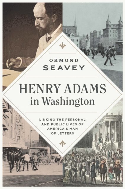 Ormond Seavey - Henry Adams in Washington, E-bok