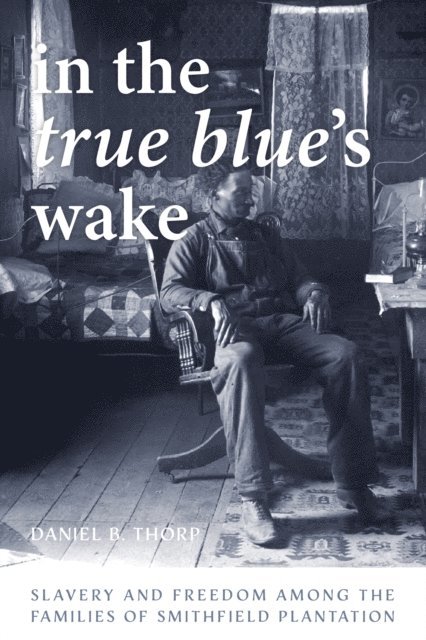Daniel B. Thorp - In the True Blue's Wake, E-bok