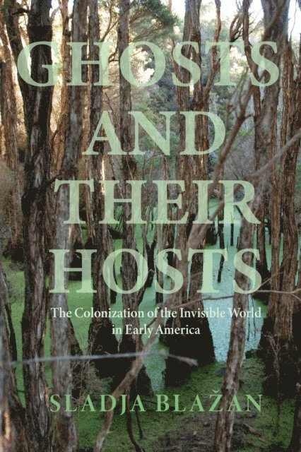 Sladja Blazan - Ghosts and Their Hosts, E-bok