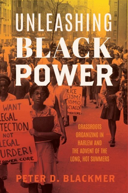 Peter D. Blackmer - Unleashing Black Power, E-bok
