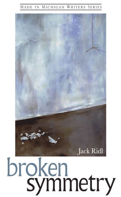 Jack Ridl - Broken Symmetry, E-bok